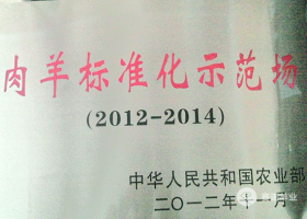 國家級(jí)肉羊標(biāo)準(zhǔn)化示范場